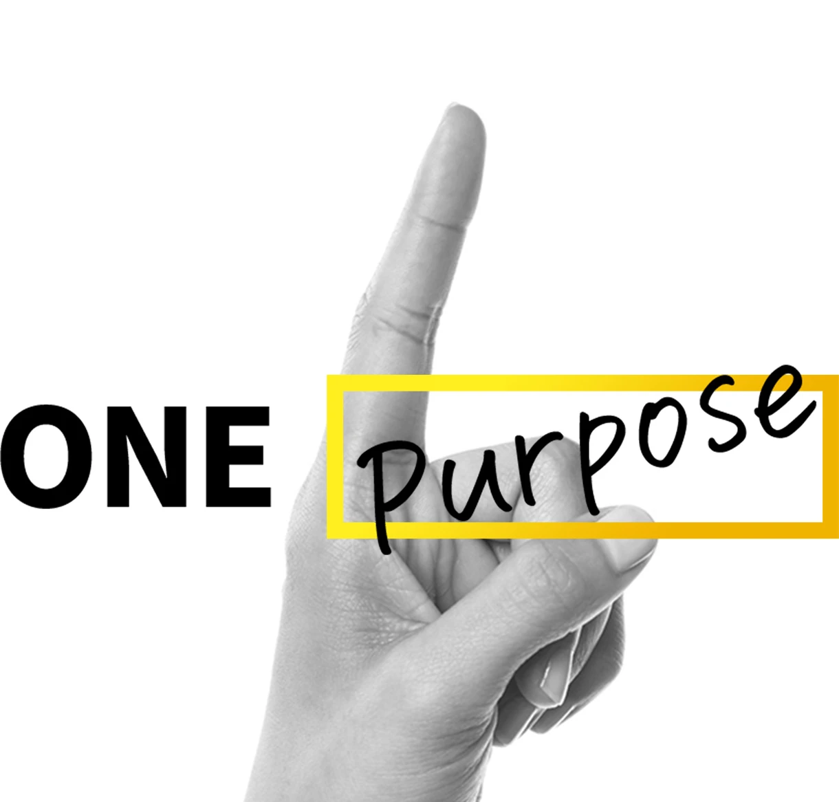 ONE purpose